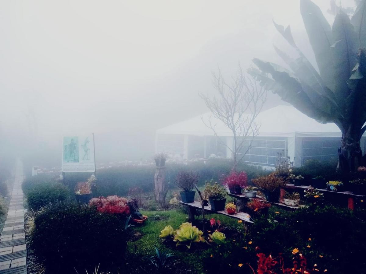 Hospedaje Santaelena -Chalets De Montana- Санта-Елена Екстер'єр фото